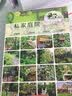 花园集 庭院景观设计4（49个庭院设计案例详解） 实拍图