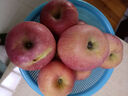 秦悦仙果鲜【多地隔日达】正宗山东烟台红富士苹果栖霞新鲜水果新年送礼礼物 5斤甄选果王【单果80-90mm】净重4.5斤 实拍图