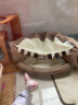 M-PETS隧道猫窝猫咪帐篷玩耍睡觉躲猫猫房子四季通用可拆洗玩具宠物用品 咖啡隧道 晒单实拍图