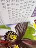 天文小百科（1分钟儿童小百科）软包精装 有声伴读 注音版 科普读物 3-6-8岁 幼儿园 一二三年级 早教发声书 点读书 实拍图
