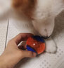 贵为（GiGwi）狗玩具耐咬磨牙发声解闷自嗨小型犬中大型犬宠物玩具狗狗玩具球 【中号】组合球 实拍图