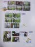 幼儿教师基本功：爱上音乐游戏 开学季 实拍图