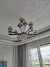 韵钰欧式吊灯客厅灯奢华水晶灯现代简欧网红餐厅卧室灯具套餐三室两厅 花开富贵12头-配全光谱三色光源 实拍图