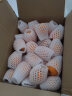 云南 高山枇杷1kg装 一级 单果20-30g 生鲜年货 新鲜水果 实拍图