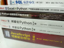 Excel+Python 飞速搞定数据分析与处理（图灵出品） 实拍图