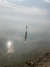 达亿瓦（DAIWA）叶隐G达亿瓦振出式台钓竿手杆鲤竿鲫鱼进口碳素 鱼竿 5.4m 超硬18 实拍图