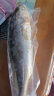 鲜京采 冷冻三去黄花鱼(宁德大黄鱼) 1.7kg (5条装)  生鲜鱼类 海鲜水产 晒单实拍图