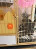 蔻丝猫笼子猫窝别墅带厕所一体室内大号减少外溅家用猫舍屋宠物猫笼 三层原木【78*55*108】自由活动 猫厕款：抽屉式猫砂盆带铲+吊床 实拍图
