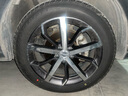 邓禄普（DUNLOP）轮胎/汽车轮胎 225/55R19 99V GRANDTREK PT3 适配哈弗H6/CS75 实拍图