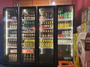 华尔（Huaer）饮料冷藏柜超市水果保鲜柜蛋糕展示柜酒吧商用冰箱立式啤酒柜便利店展示柜冷藏留样柜 【尊享版】小双门(丹佛斯压缩机) 实拍图