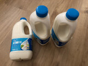 得益 LABS益生菌桶装酸奶 1.1kg\\桶 家庭装 1.1kg/2.2斤*3桶 实拍图