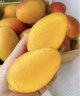 嗯嗯乐【顺丰】海南三亚澳芒果 新鲜当季芒果水果热带树上熟 5斤装 实拍图