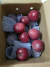 甘肃天水花牛粉面苹果国产红苹果 刮泥宝宝新鲜水果 带箱约10斤大果（约18个左右） 晒单实拍图