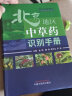 北京地区中草药识别手册 金艳 鞠海 李京生 罗容编 中国中医药出版社 国医大师金世元中药特色技术传承丛书 晒单实拍图