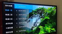 优选电视免费机顶盒5G无线WiFi网络盒子4K高清免VIP播放器 直播+永久VIP+语音遥控  8G 实拍图
