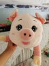 艾筱扬【当次日达】小猪猪抱枕公仔娃娃毛绒玩具睡觉抱七夕情人节礼物女 粉色圆眼（余生都是你） 1米 实拍图