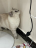 宠号 宠物猫咪衣服 绝育服 母猫 手术服小猫猫防掉毛 粉色 M 实拍图