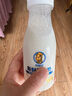 阿丽塔纯骆驼奶鲜驼奶礼卡0蔗糖孕妇儿童中老年成人250ml*30瓶 源头直发 实拍图