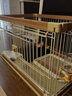 爱丽思（IRIS）狗围栏宠物笼子狗狗木质狗栅栏猫咪护栏大型犬泰迪用品 S号茶色【暖冬套餐】 笼顶需加拍 实拍图