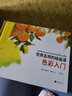 世界名师的绘画课：色彩入门 实拍图