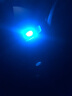 型点（XINGDIAN）  车载氛围灯LED触控感应夜灯汽车内脚底照明尾箱灯车顶灯阅读灯 实拍图