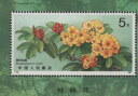 东吴收藏 1949-1991 JT票小型张邮票 集邮 1号 T162M 杜鹃花 实拍图