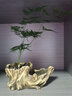 欧林泽 陶瓷花盆 陶泥多肉植物绿植花器 创意桌面仿老根根雕生态树桩陶盆 中式个性 木桩 款式11 浅色/长19.5*宽9.5*高7.3厘米 实拍图