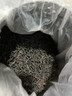 六耕堂2025年春茶荒野红古树滇红茶1000g罐送礼茶叶云南凤庆古树红茶叶 实拍图