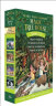 神奇树屋（套装5-8册） 进口原版Magic Tree House  桥梁书 章节书  英文绘本[平装] [6-15岁] 实拍图