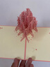 纸欧莉 教师节贺卡2025新款高级感3d立体贺卡创意手工diy送男女老师感恩礼物生日祝福代写幼儿园 【立体贺卡】樱花树下 实拍图