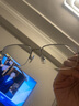 BOSS男女款黑色半框黑色镜腿配镜光学近视眼镜框架 1289F 010 56MM 实拍图