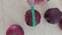 真臻古记甘肃花牛粉面苹果天水面苹果老人宝宝婴儿苹果 3斤大果80mm（含）-85mm(含) 实拍图