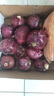 中鲜生 云南紫皮洋葱现挖红皮洋葱新鲜蔬菜生鲜当季新鲜洋葱 5斤装【普通装】 实拍图