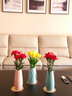 凉笙  ins北欧小清新陶瓷花瓶北欧可插花干花水培装饰品日式简约摆件家用餐桌办公桌装饰品 白色花瓶 实拍图