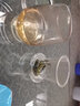绿昌明 耐热玻璃茶杯一壶四杯泡茶杯茶水分离杯泡茶壶花茶杯过滤杯子 1杯+4品杯 实拍图