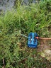 超农力（CHNONLI） 超农力充电水泵自吸泵便携式农用打药浇菜浇花户外抽水家用灌溉 A825锂电双泵+40米管+卷管器 加长续航 实拍图