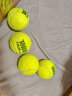 天龙（Teloon） 网球比赛训练习用球桶装P4高弹耐磨 TOUR POUND（四只装） 实拍图