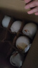 【已售50万斤】河北水晶鸭梨赵州鸭梨产地直发单果180g起 带箱2.5斤装（净重2.1-2.2斤） 实拍图