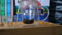 逸集加厚耐热玻璃茶水分离泡茶壶透明红茶茶具冲茶器家用大容量花茶壶 蘑菇杯500ML+4茶杯+竹托盘 实拍图