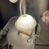 瑜品佳 加湿器迷你【三色星球灯】卧室小型车载桌面加湿器家用轻音孕妇办公室香薰净化器情人节生日礼物 插电版-星球加湿器【精美木架+棉棒】 实拍图
