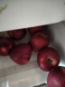 壹农壹果 甘肃天水花牛新鲜苹果 粉面苹果  时令生鲜新鲜苹果水果整箱大果 10斤装（净重8.5-10斤）70-75mm 实拍图