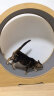 喵仙儿猫咪跑步机低音滚轮宠物运动健身大型猫爬架自嗨猫玩具 大号 晒单实拍图