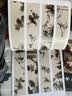 【包邮】中国画大师经典系列丛书名家山水花鸟人物画集画册画谱（宋元明） 徐渭书籍 实拍图