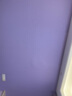 昕璧辉无缝墙布客厅背景墙现代简约天鹅绒素色墙纸壁布卧室北欧风ins 浅灰色 实拍图