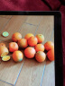 之味珍选湖北秭归伦晚脐橙带箱10斤礼盒中果70-80mm钻石果橙脐橙新鲜水果 实拍图