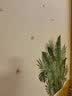 欧仕图（OUSHITU）ins墙贴画自粘 清新树枝墙壁装饰贴画温床头卧室布置贴纸玻璃墙纸 两簇叶子 实拍图