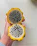 优味集燕窝果麒麟果【顺丰JD】应季新鲜水果海南黄色火龙果白心水果生鲜 2颗 商超A+级精品果（单果100g+） 实拍图