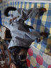 憨憨宠狗狗雨衣狗衣服小型犬全包四脚反光户外防风保暖冲锋衣服防水雨披 蓝色 L号建议体重5-8斤 实拍图