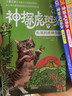 【包邮】小学生一二三四五六年级课外阅读书籍6-12岁推荐阅读书单 神探虎斑猫 全套7册 实拍图