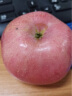 佳农 烟台红富士苹果 5kg装 一级果 单果重160g以上 生鲜礼盒 晒单实拍图